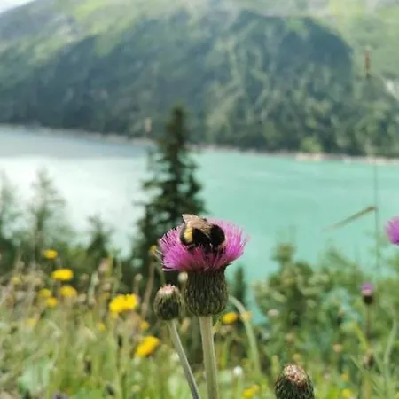 Apartment Haus Dora 3 Ahorn *