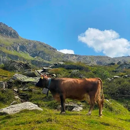 Lejlighed Haus Dora 3 Ahorn