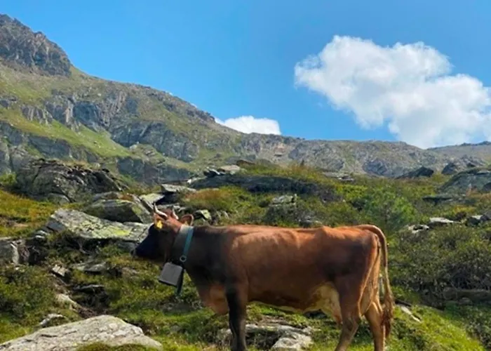 Διαμέρισμα Haus Dora 3 Ahorn